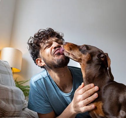 Beyond the Basic Buttermilk: Marinade Adventures