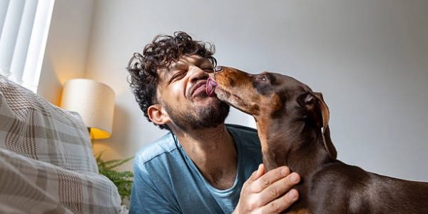 Beyond the Basic Buttermilk: Marinade Adventures