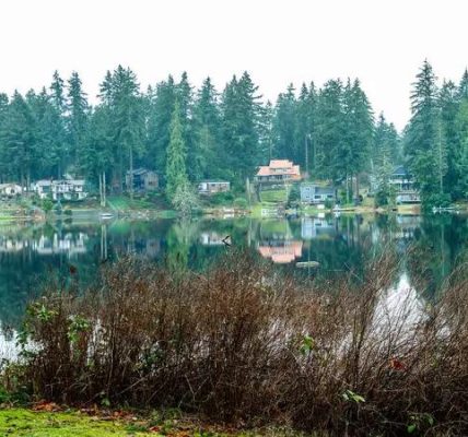 Oregon drug rehab Services Explained for Beginners