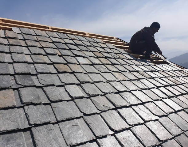 Professional Roofer Near Me for Residential and Commercial Projects