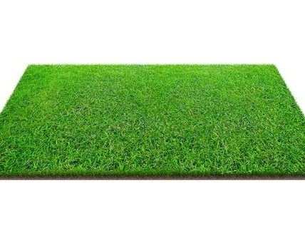 Top Benefits of Hiring TurfMark Outdoor Solutions Buford for Lawn Maintenance