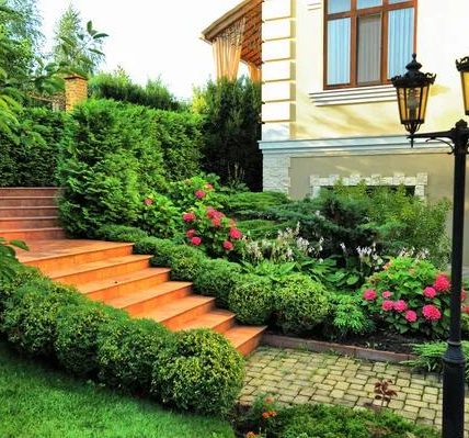 Trusted Landscaping Professionals for Residential Properties