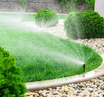 Reliable water mitigation services for homes and businesses