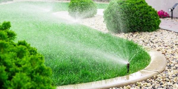 Reliable water mitigation services for homes and businesses